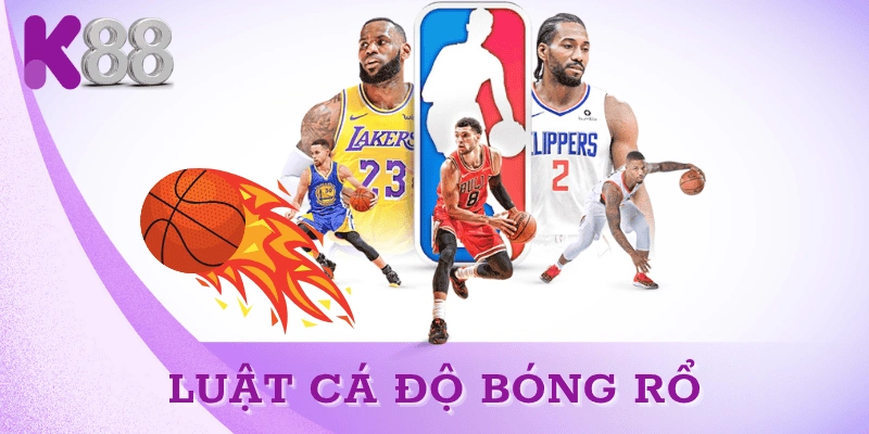 luat-ca-do-bong-ro